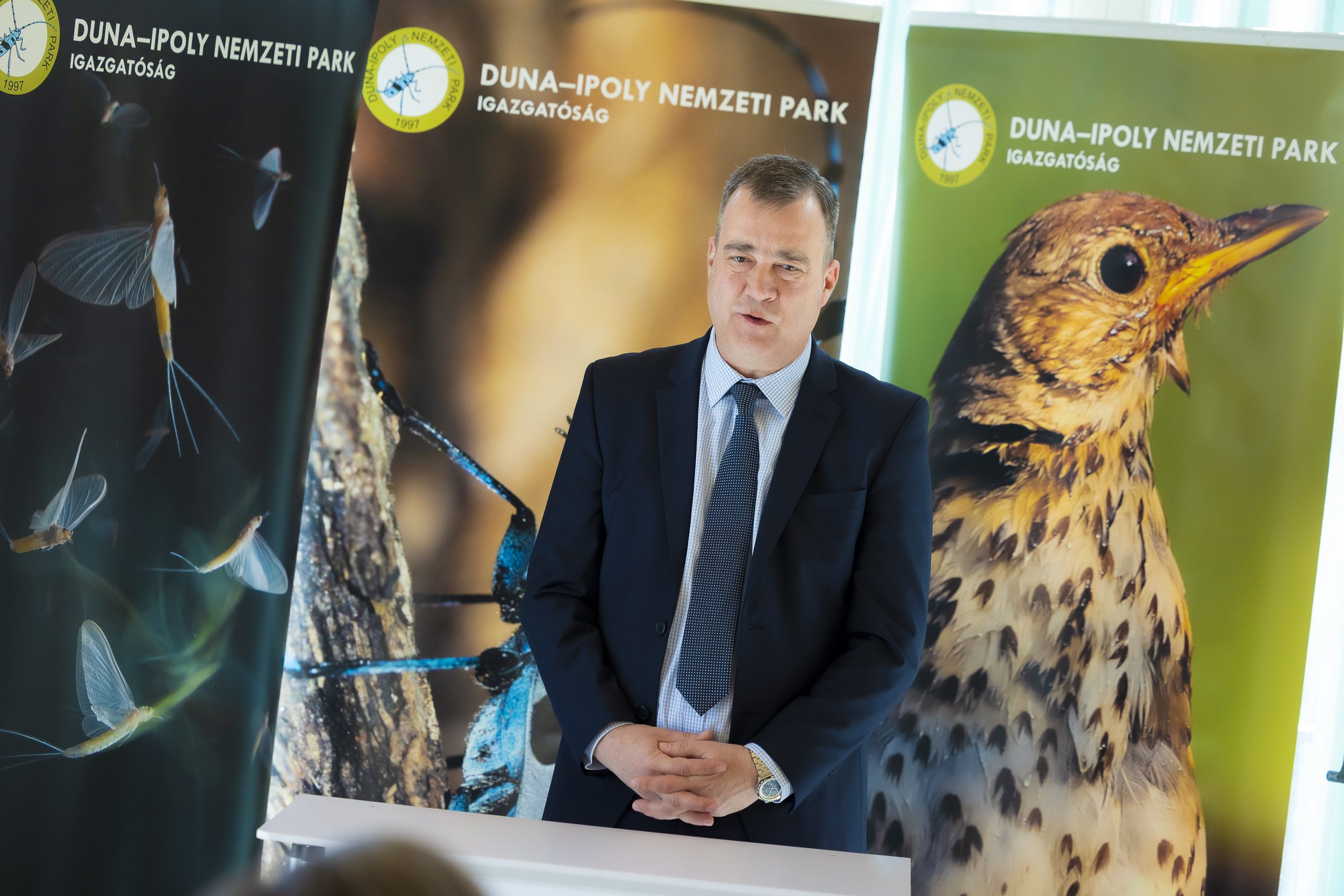 Újraéledő vizes élőhelyek, erősödő gyepek