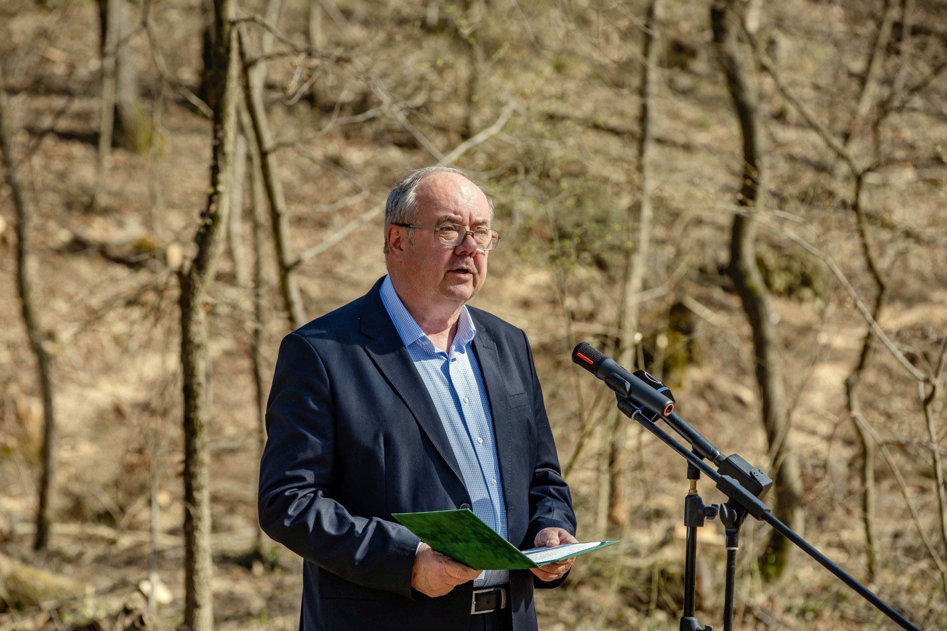 A jövő erdeje a városban gyökerezik
