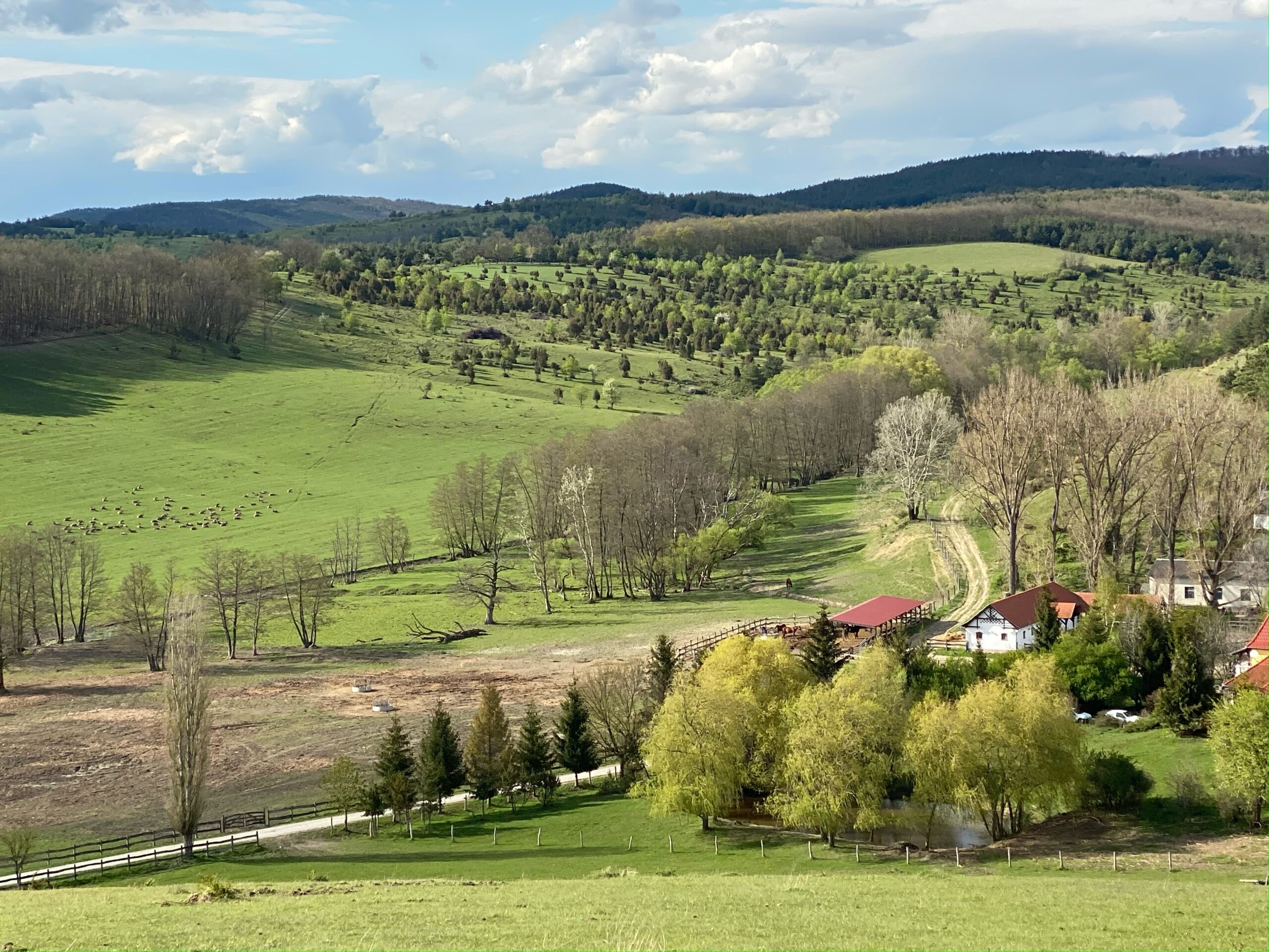 Az együttélés jelenleg az egyetlen járható út a nagyragadozókkal