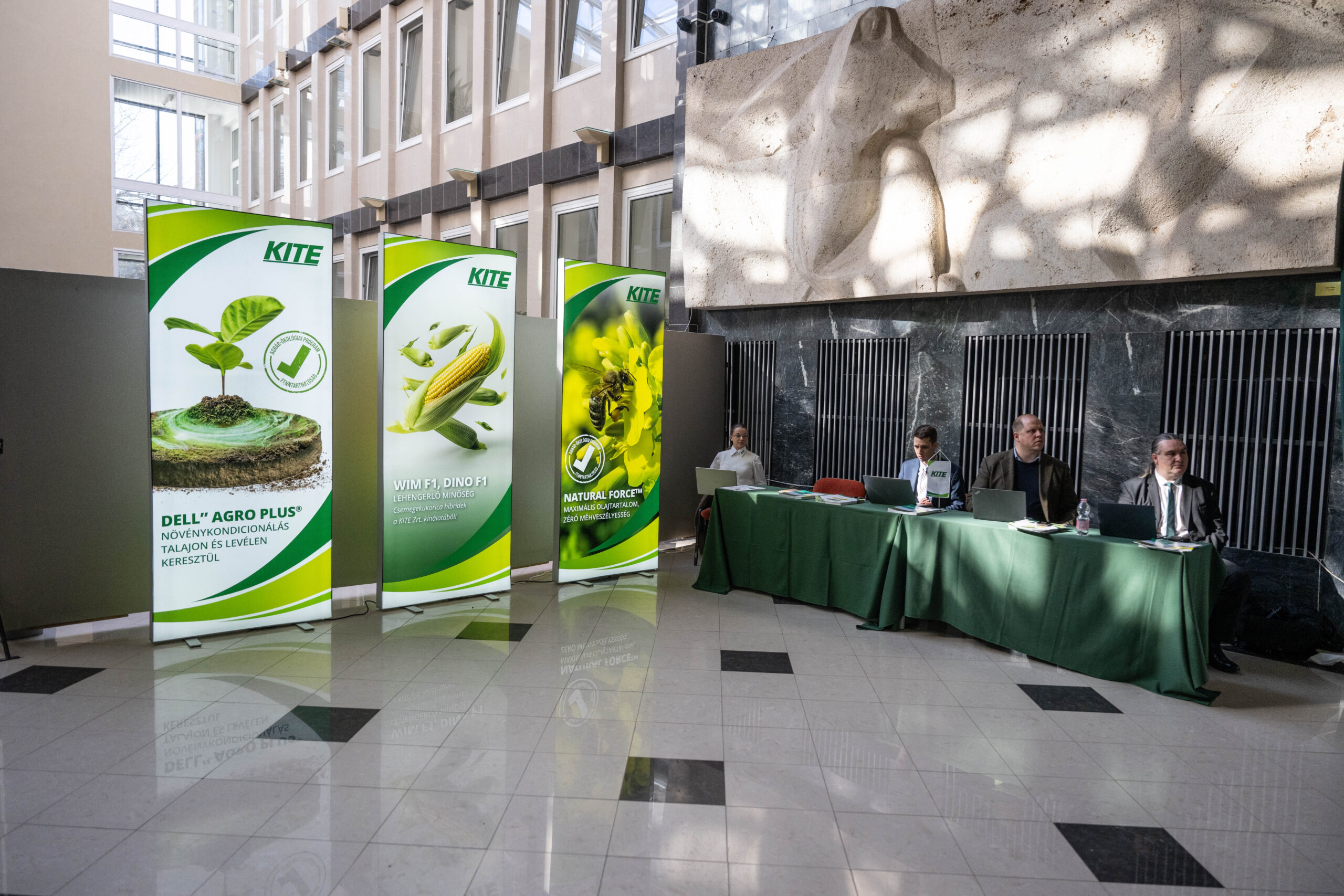 Nagymagvú zöldségfélék – szolidabb igények