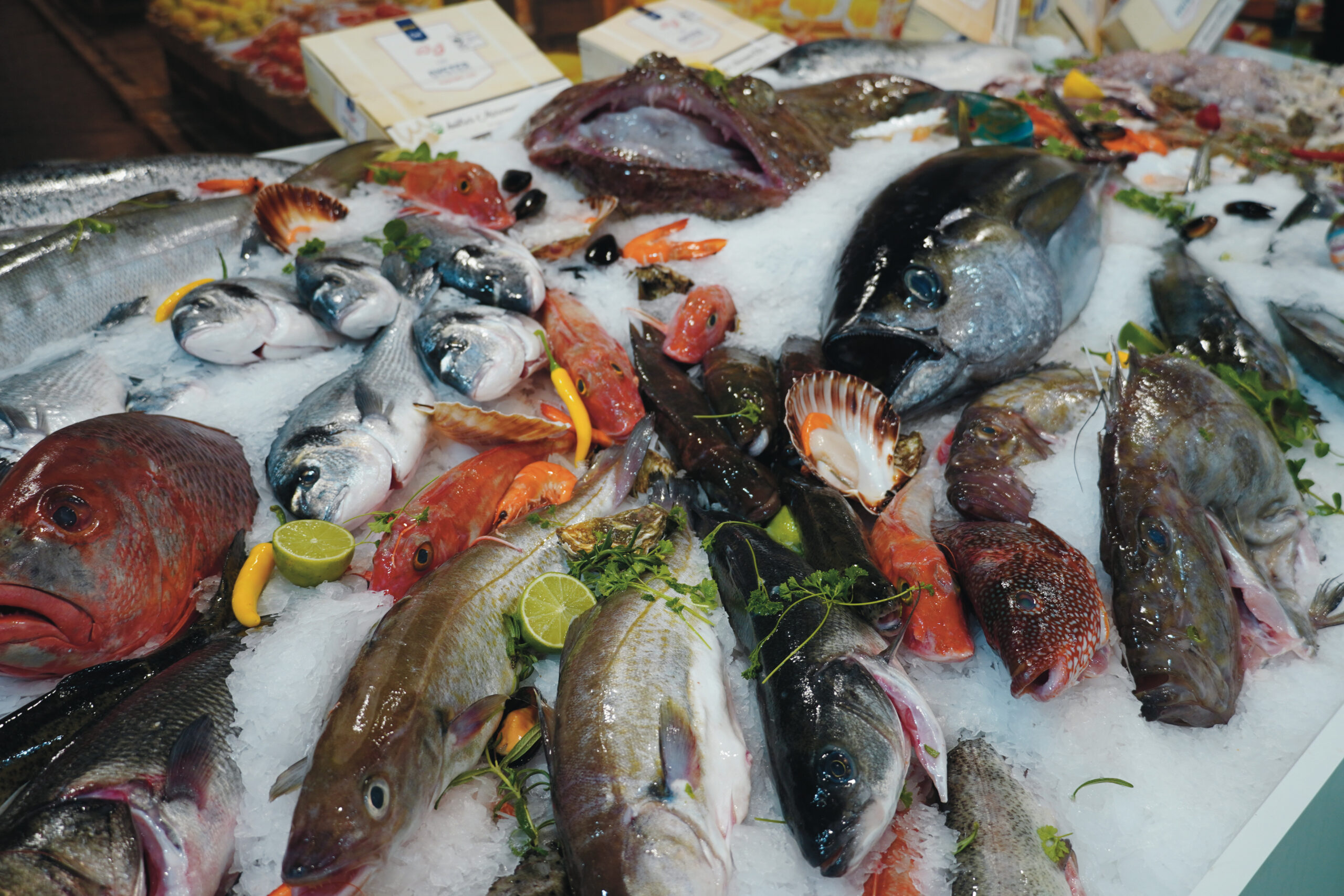 hal halak élelmiszer jég sirha mmg fotó