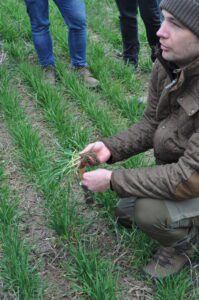 Saját nitrogén a tábla szélén