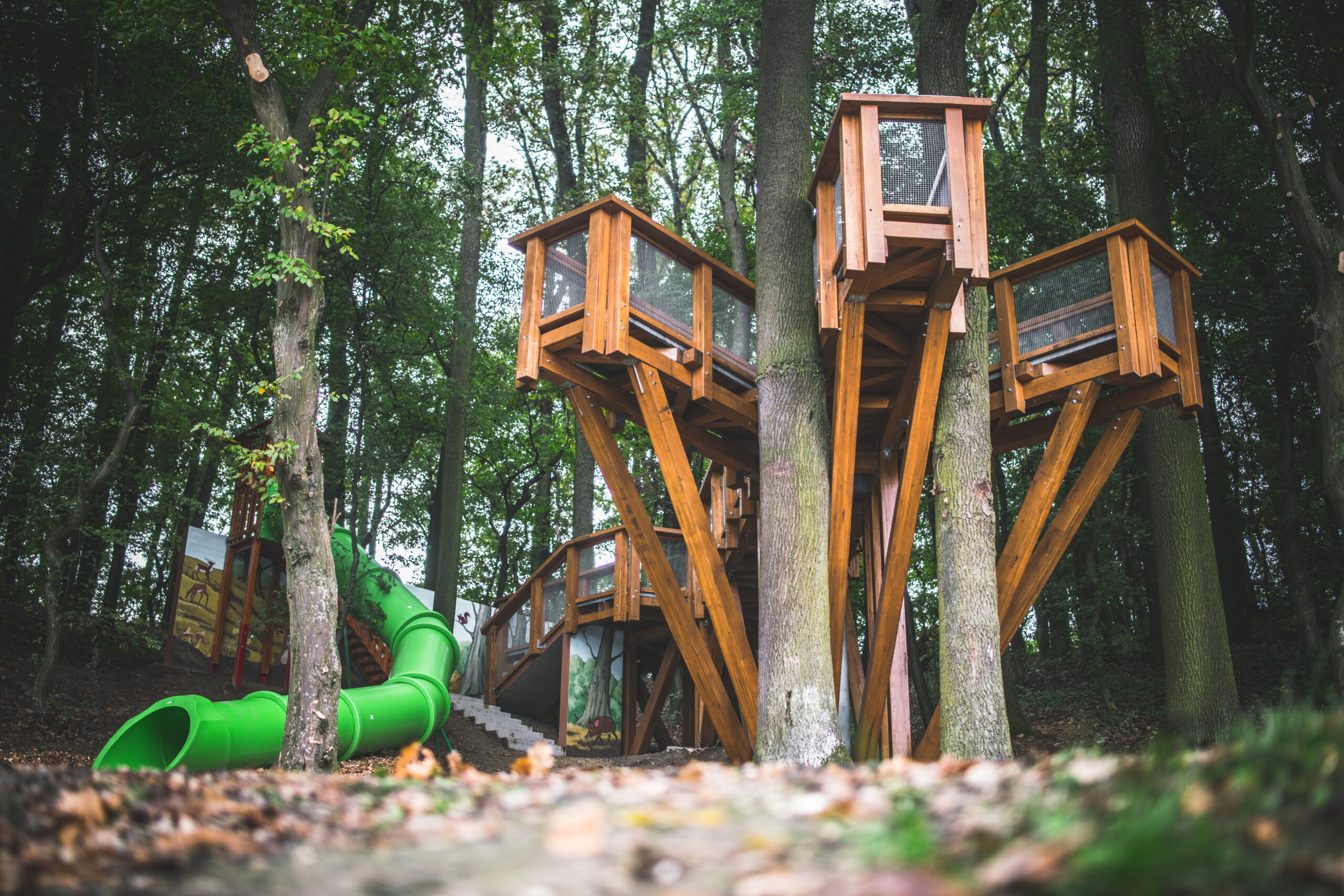 A Deseda Parkerdő egész évben csodásélményeket kínál