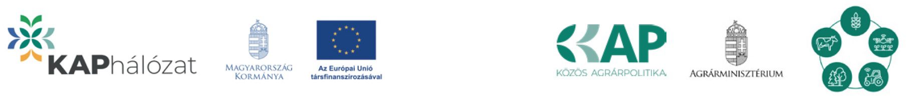 KAP_logosor_AMC_cikkek