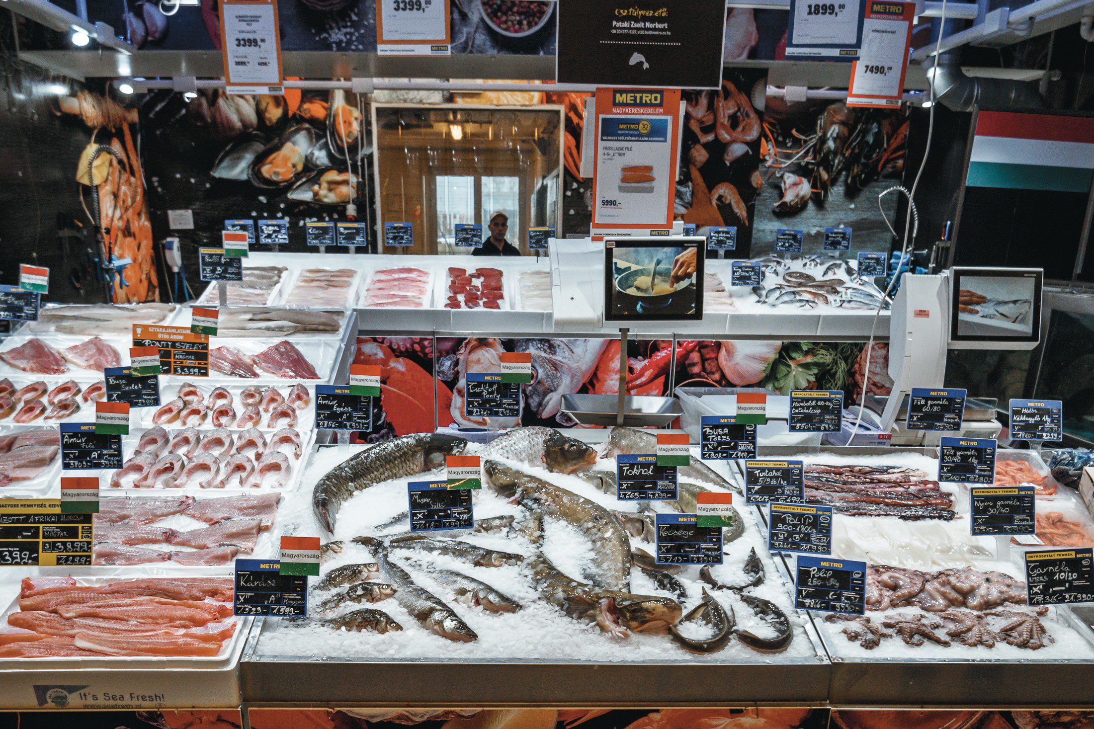 Lassan nő a halfogyasztás, meghatározók az importált halászati termékek