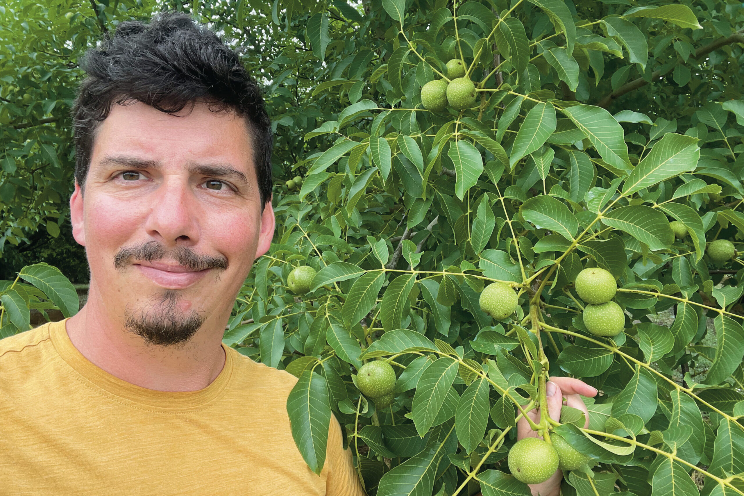 Magyar dió: a minőség nem kompromisszum kérdése