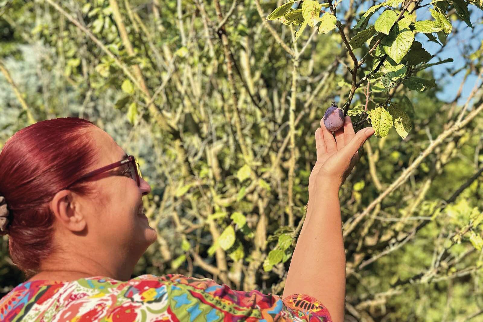 Jelen-lét a földdel