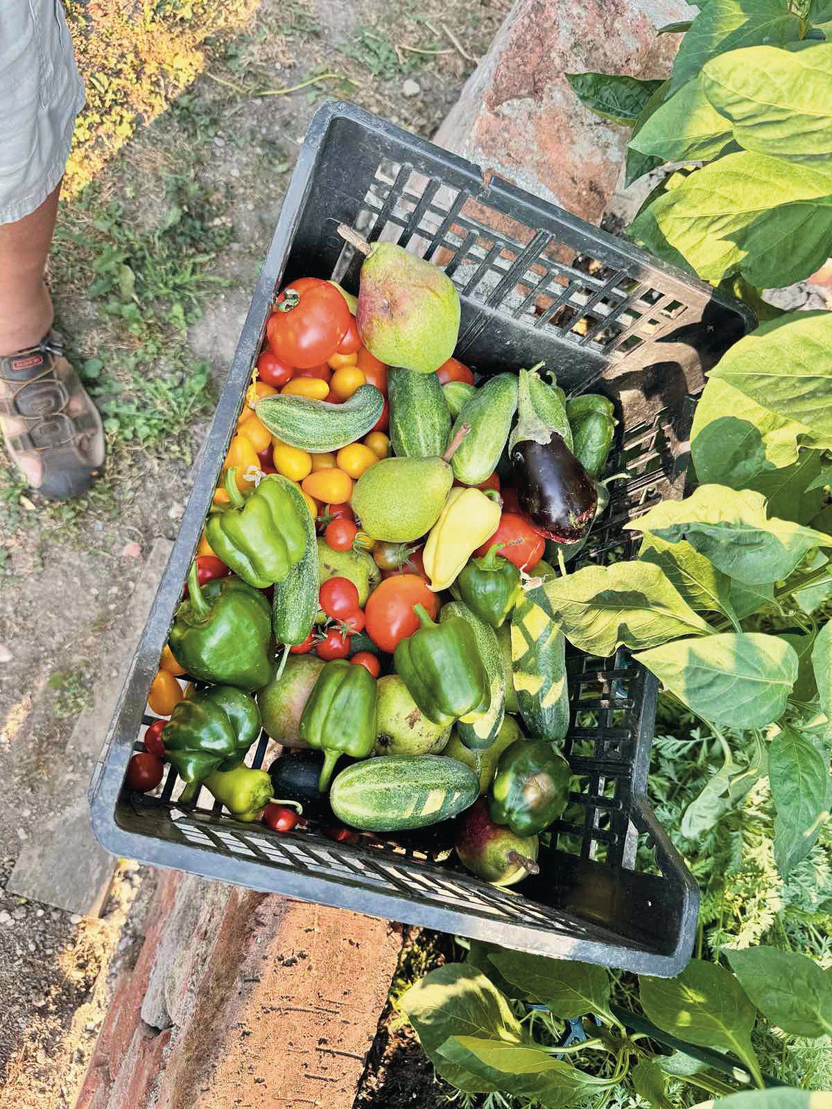 Az alapanyagok vegyszermentesek