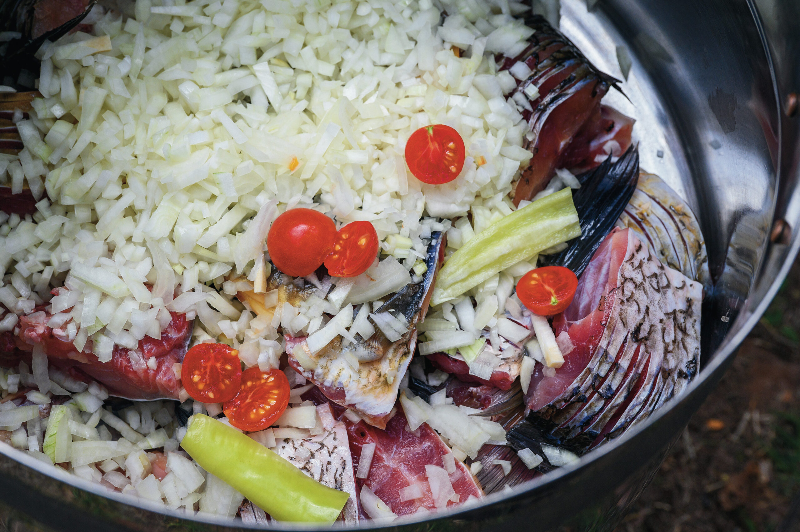 CSN hal halászlé gasztronómia élelmiszer