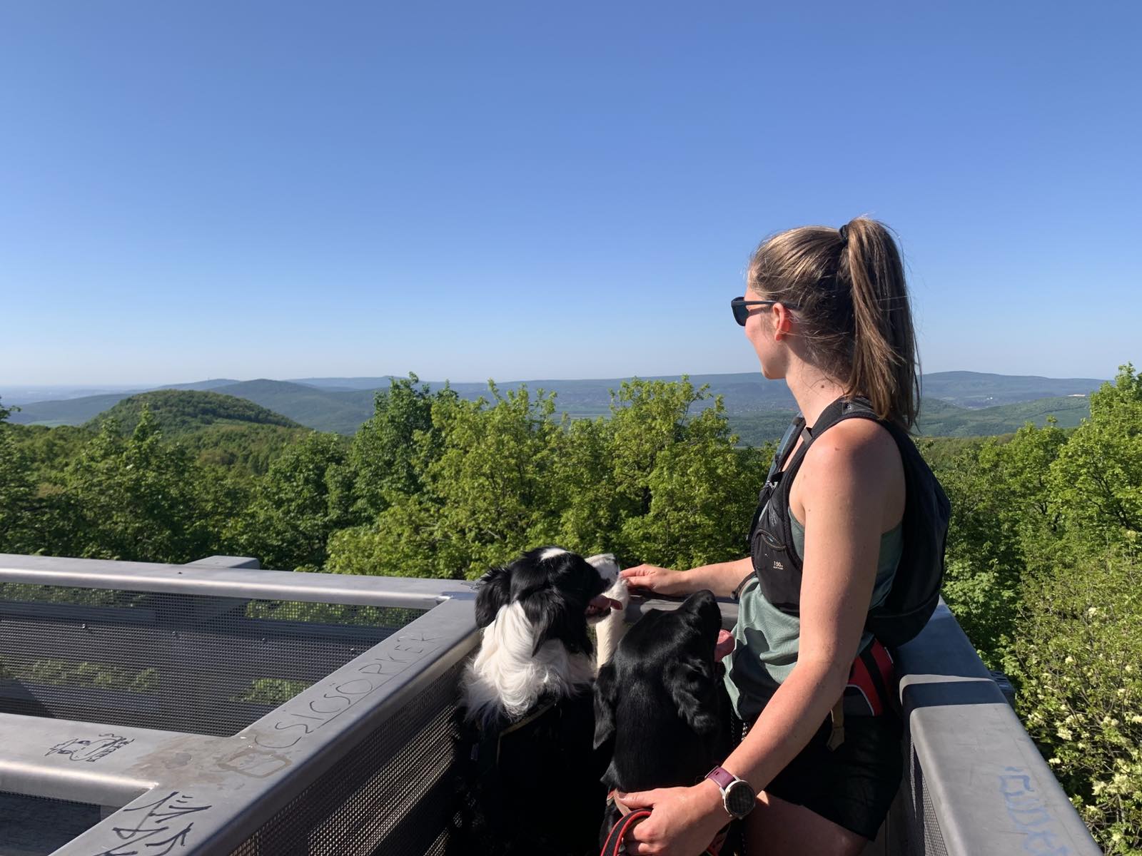 OK - 3 BölcsőHegy_Filep Tímea