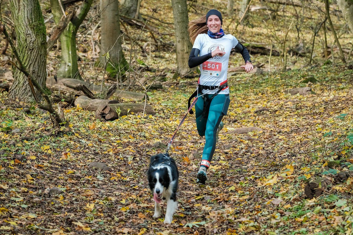A természet ritmusában – kutyával az erdei ösvényeken