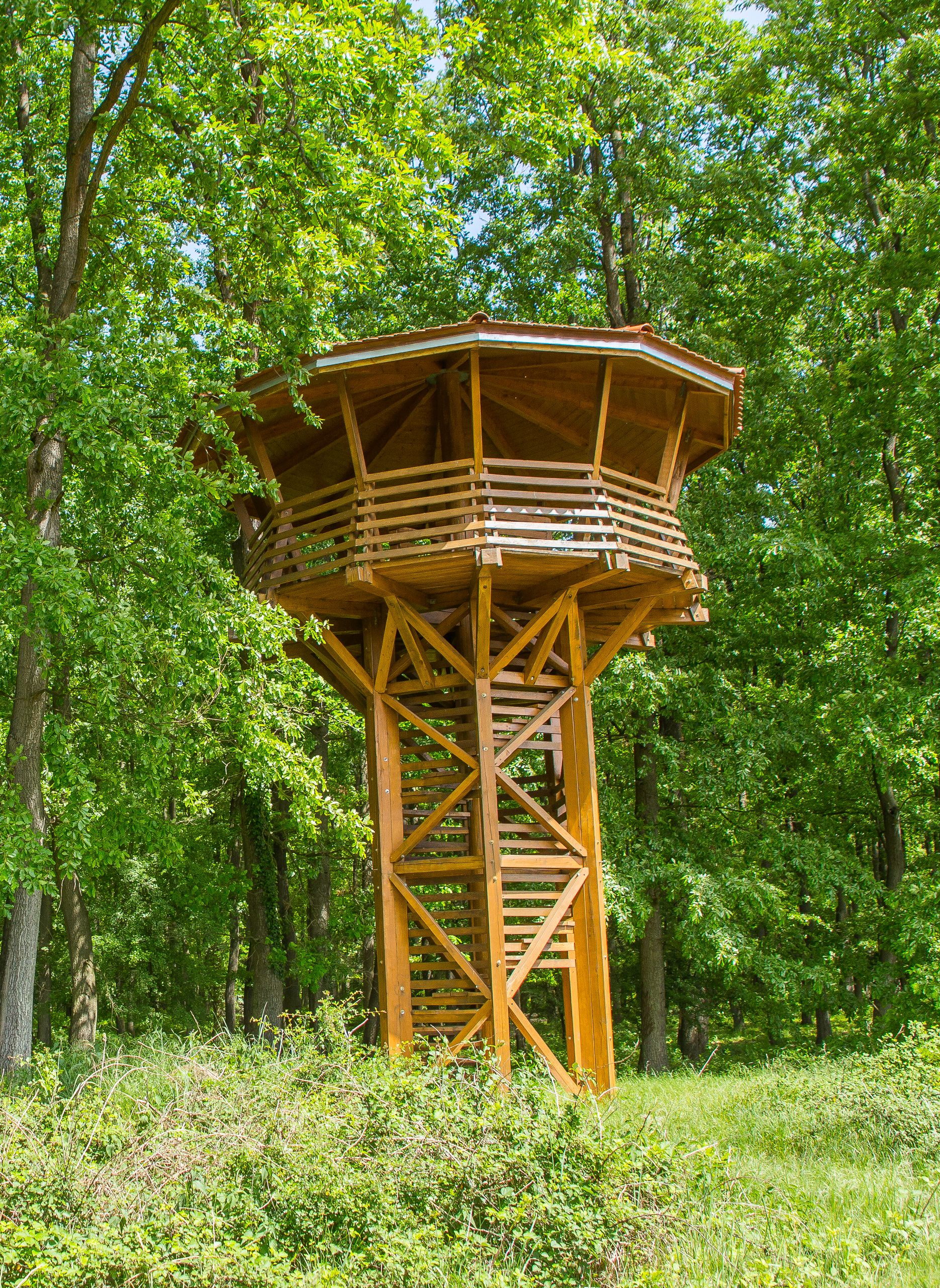 Kilátó a rinyabesenyői erdőben