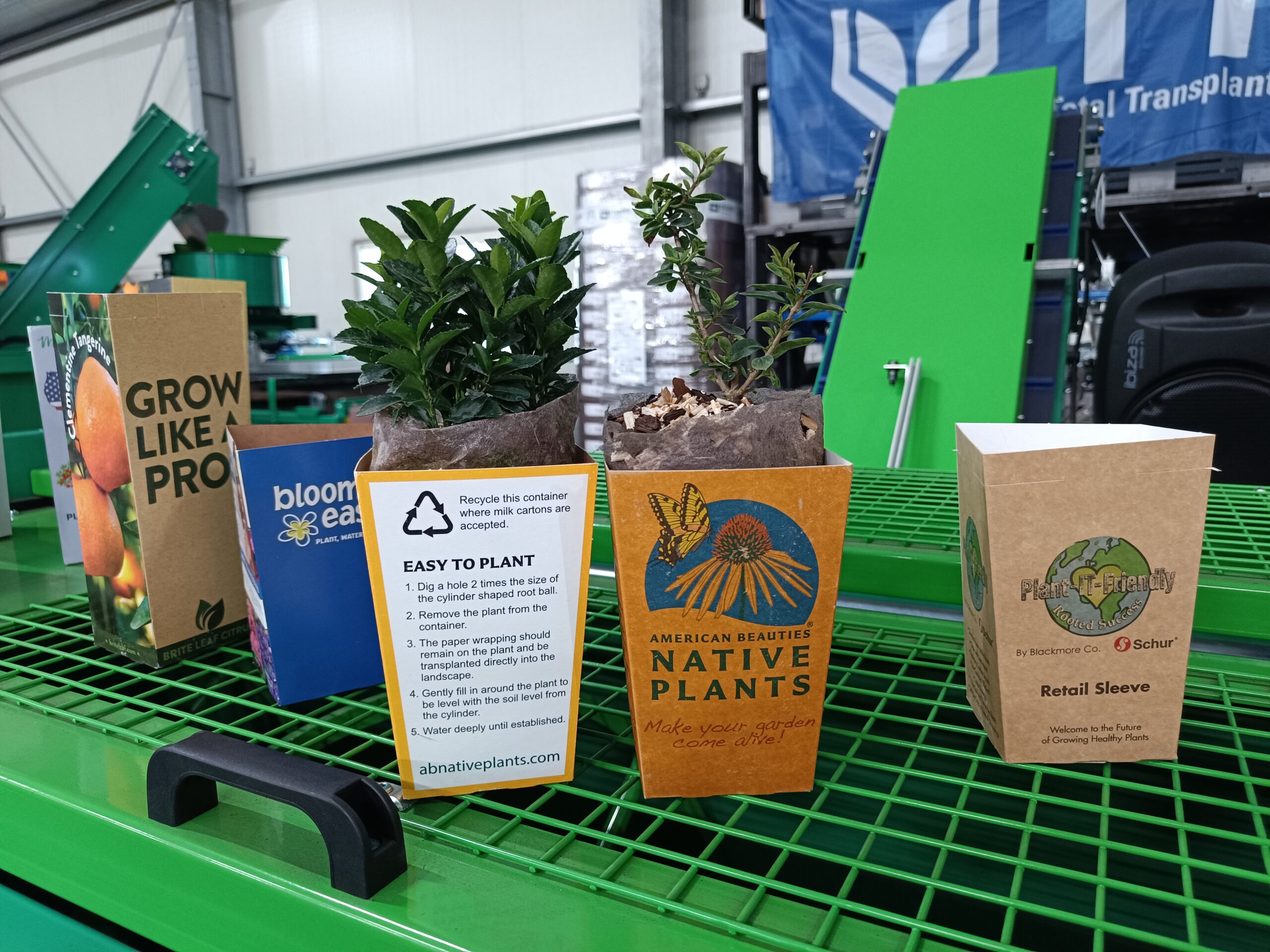 Áruházi koncepció: a környezetvédelemjegyében a papírhengeres növényeket változatosan feliratozható papírcserepekben kínálják