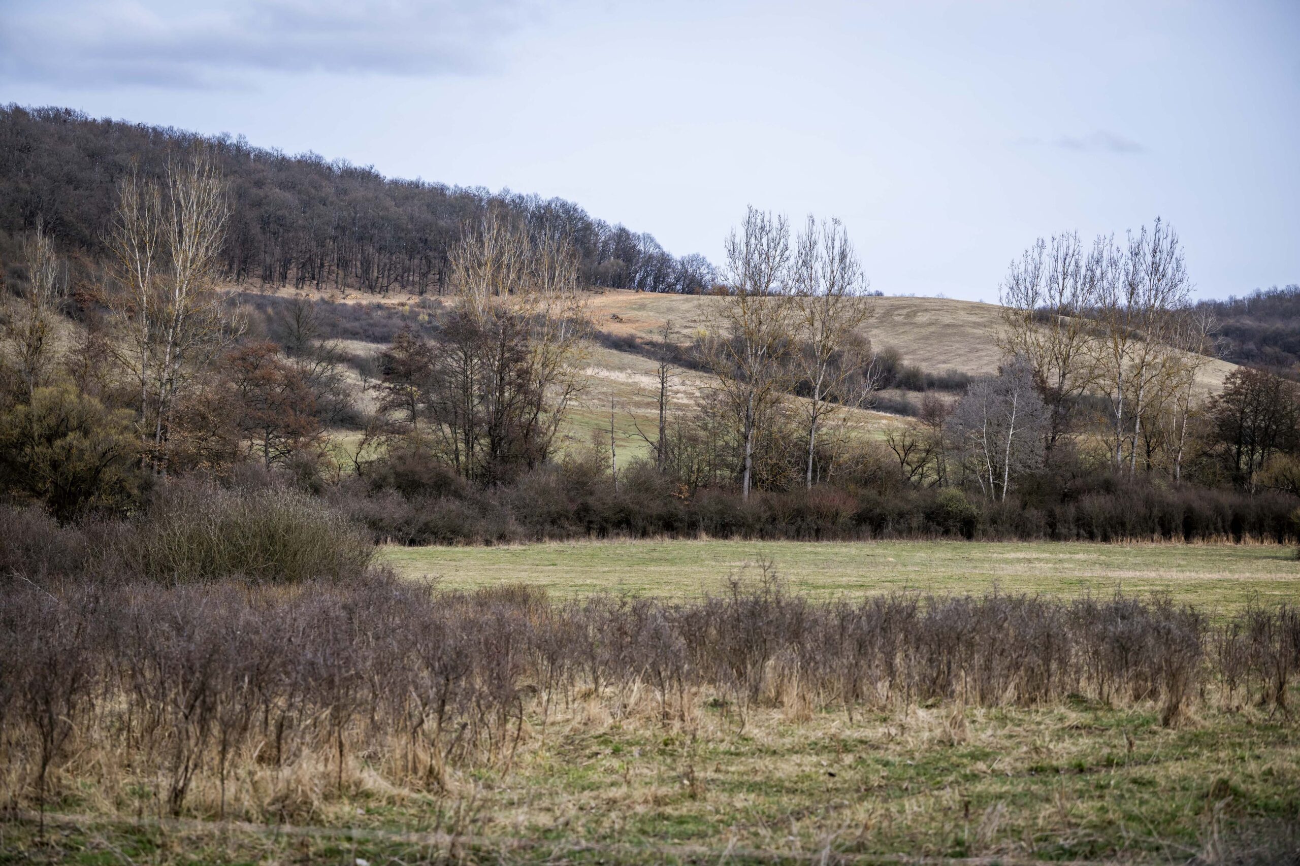 Erdők és gyepek reneszánsza az Aggteleki Tájegységben
