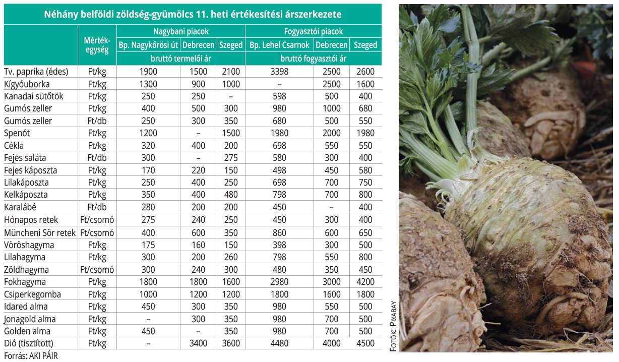 aki_belfoldi_zoldseg-gyum_2026_11
