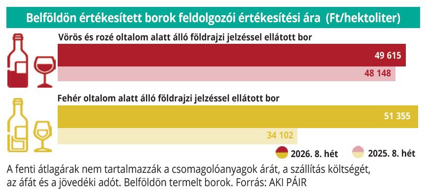 belfoldi_bor_2026_08