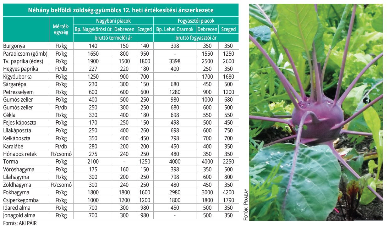 belfoldi_zoldseg_gyum_12-het