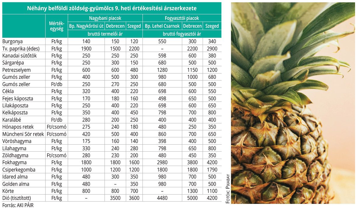 belfoldi_zoldseg_gyum_2026_09