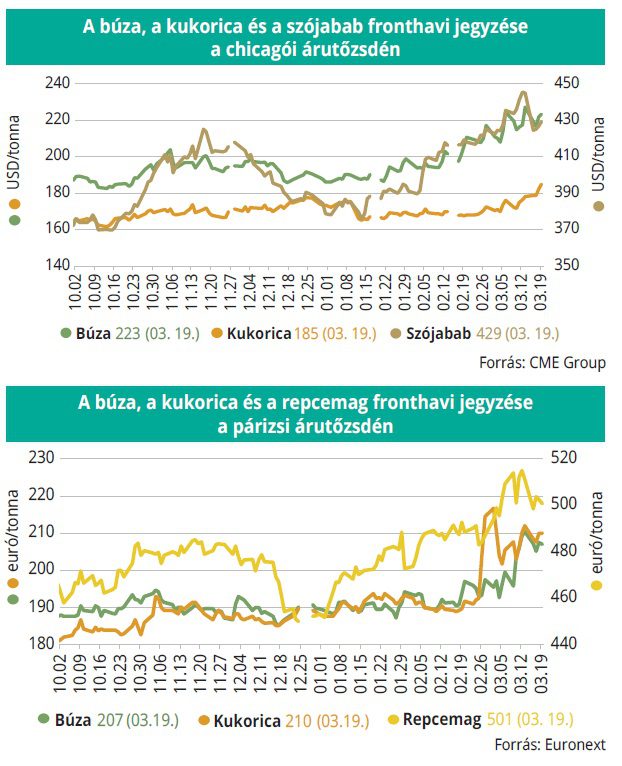 buza_kukorica_arutozsde_2026-13