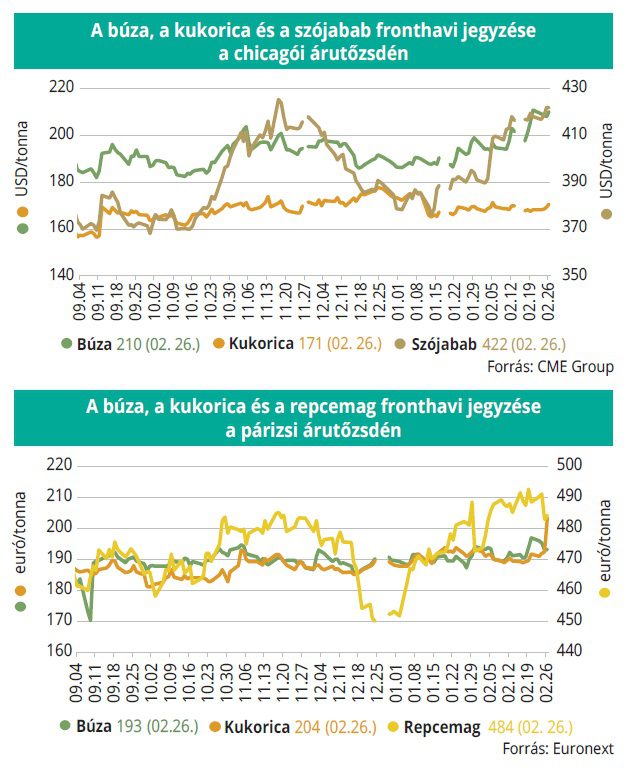buza_kukorica_tozsde_2026_10