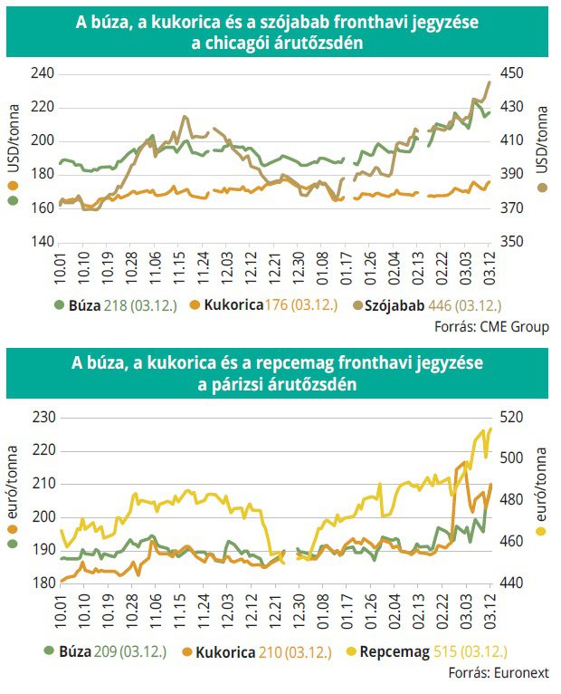 buza_kukorica_tozsde_2026_12