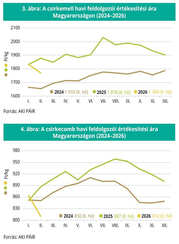 csirkemell_csirkecomb_aki12het