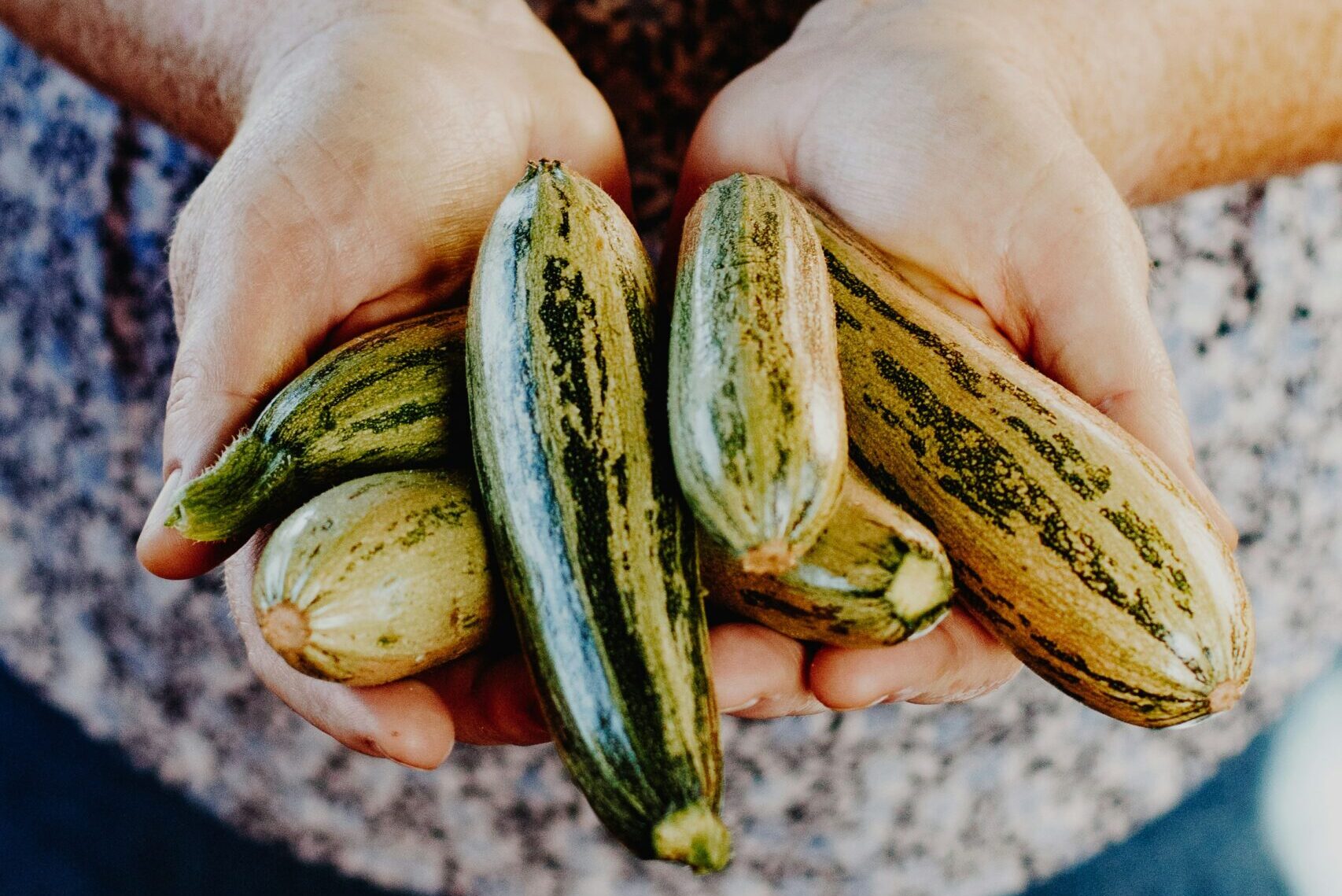 Dél-afrikai cukkini a rács mögött