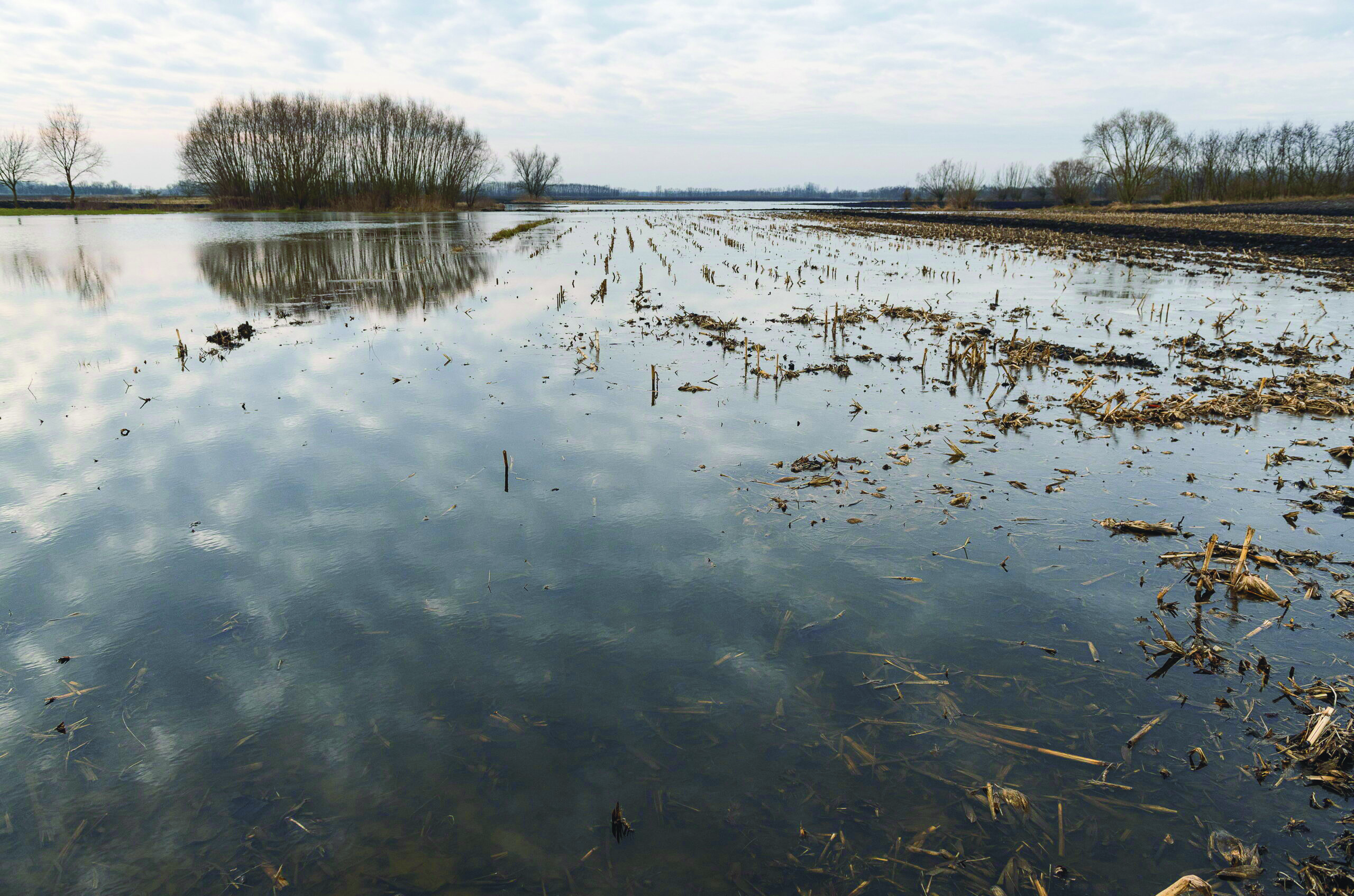 Dombr·d, 2021. febru·r 10.BelvÌz borÌtja a termıfˆldet a Szabolcs-Szatm·r-Bereg megyei Dombr·d hat·r·ban 2021. febru·r 10-Èn. MTI/Bal·zs Attila