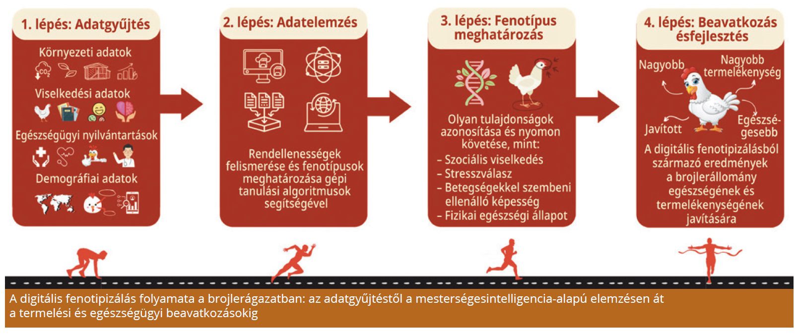 digitális fenotipizálás