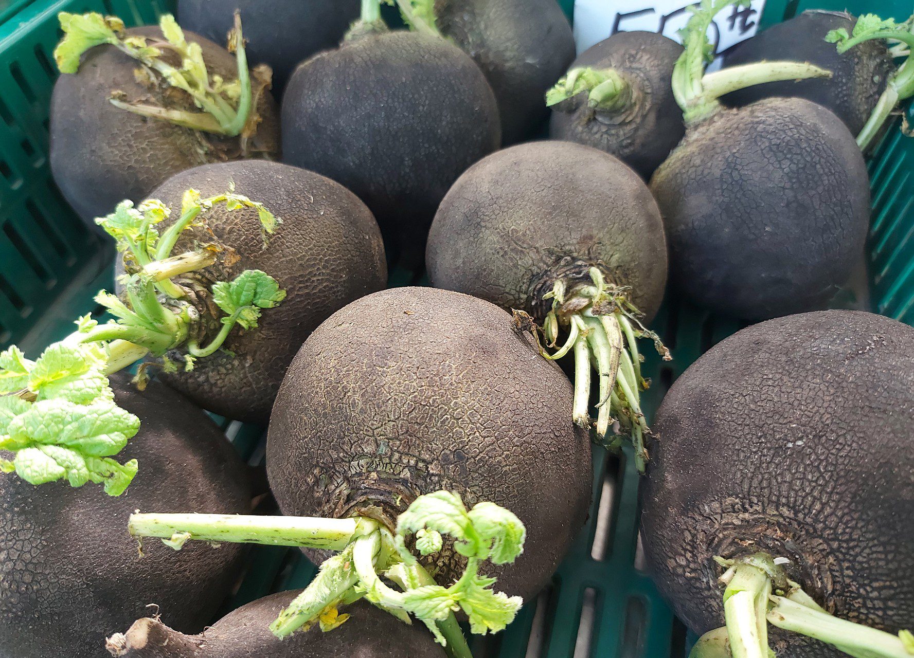 Kifejezetten téli zöldség a fekete retek