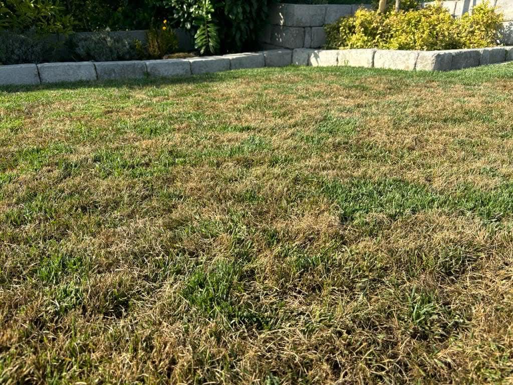 Vegyszermentes díszkert – így erősítsük növényeinket tavasszal