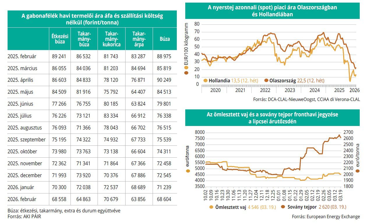 gabona_tejtermekek_2026-13het
