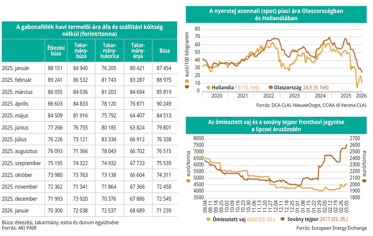 gabonafelek_tejtermekek_2026_11
