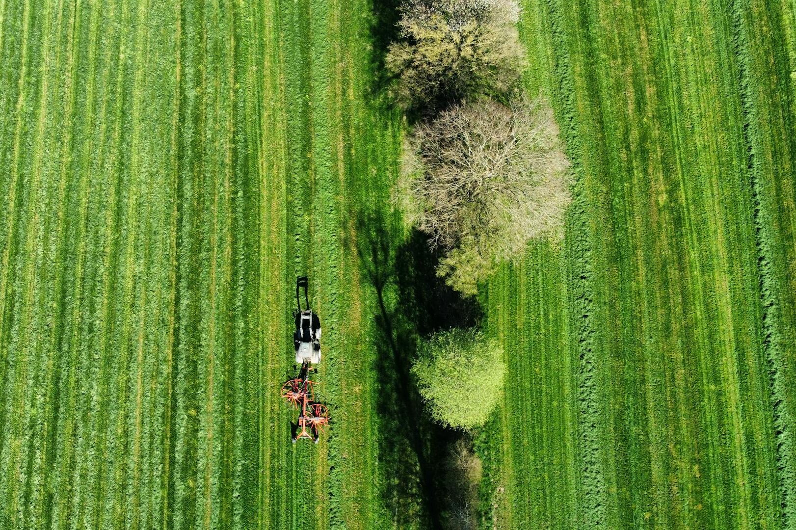 gazdálkodó növénytermelés