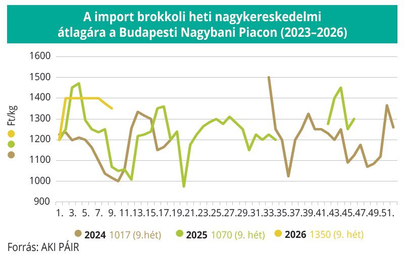 import_brokkoli_2023_2026_AKI