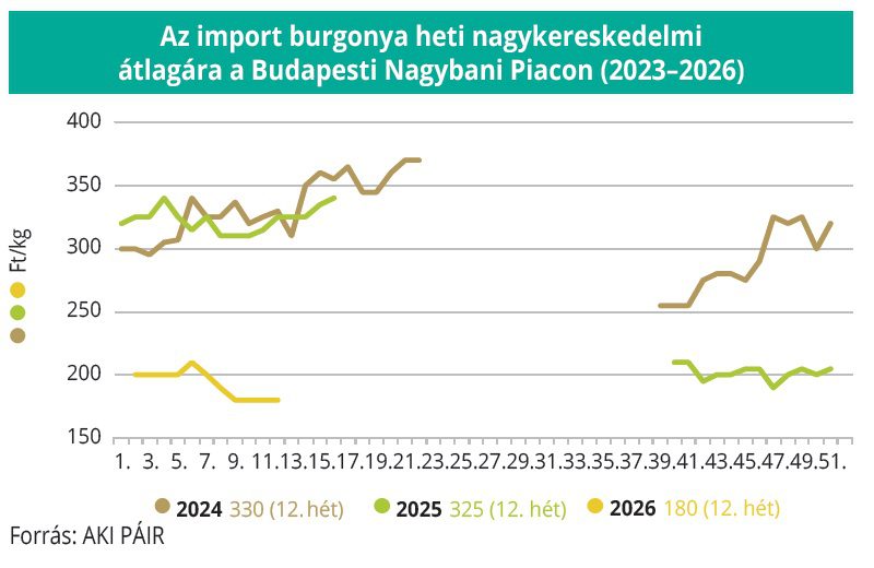 import_burgonya_AKI_2026-13