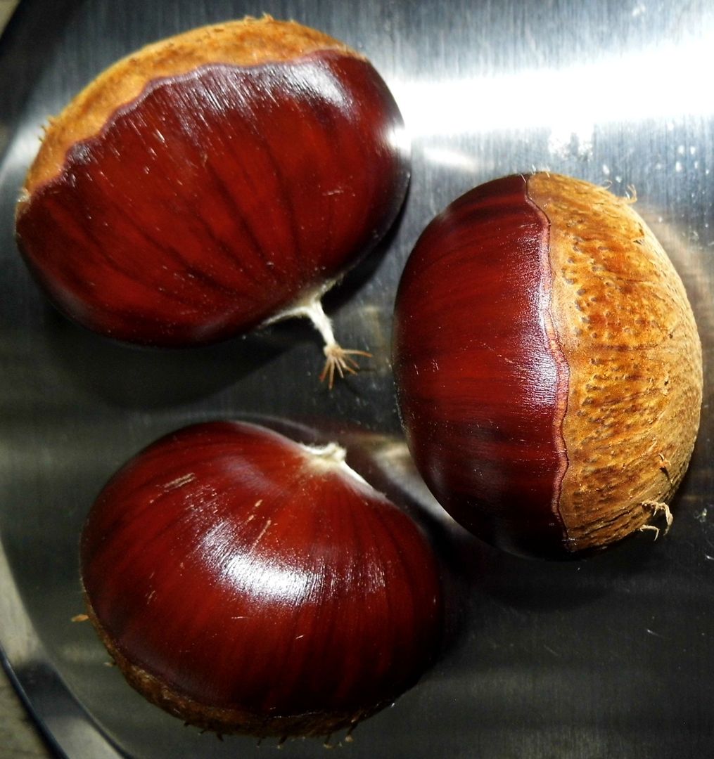 Mutatós, fényes, halványan csíkozottgesztenye a Nagymarosi 1