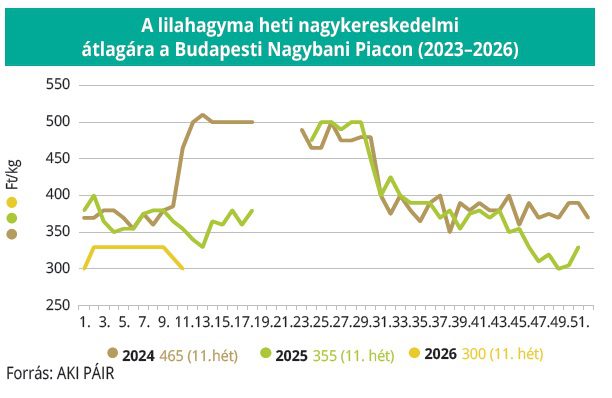lilahagyma_nagybani_aki2026