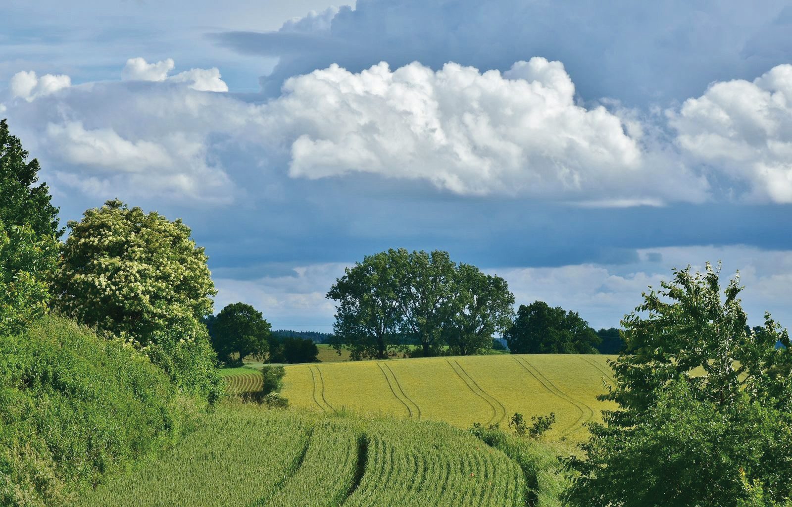 Csökkenthető a légköri aszály?