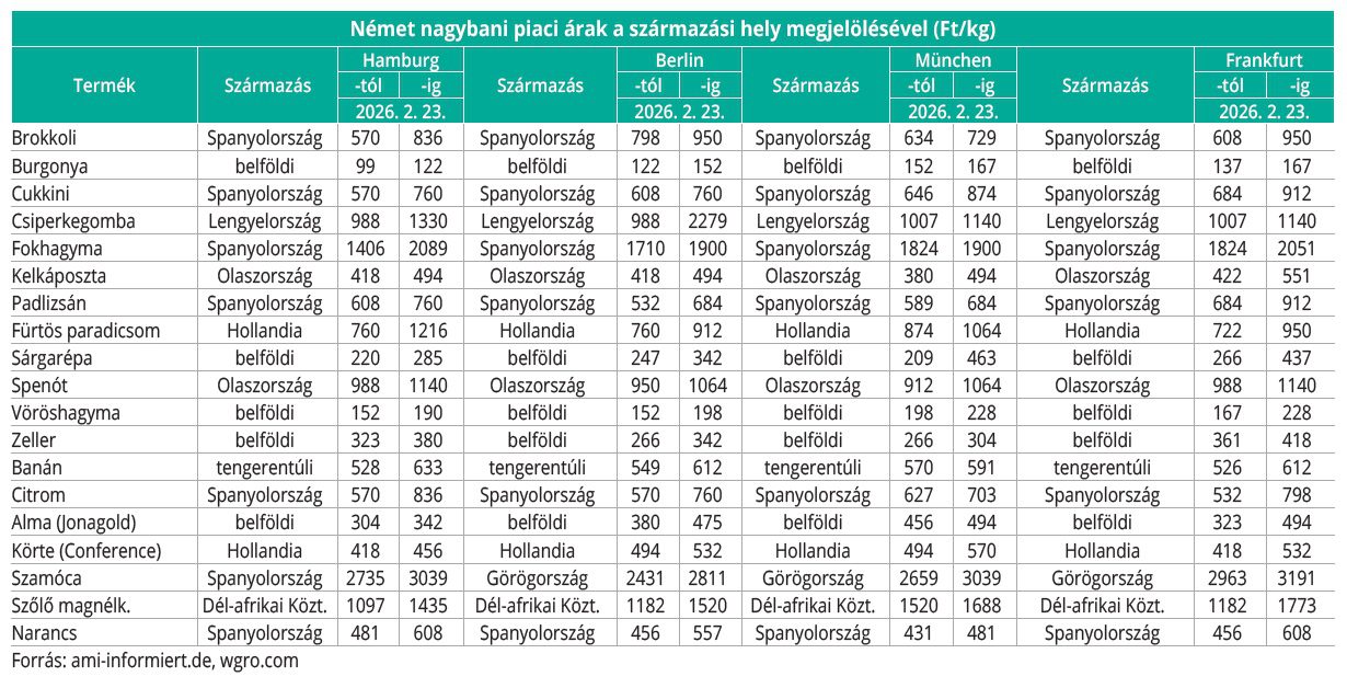 nemet_nagybani_2026_10