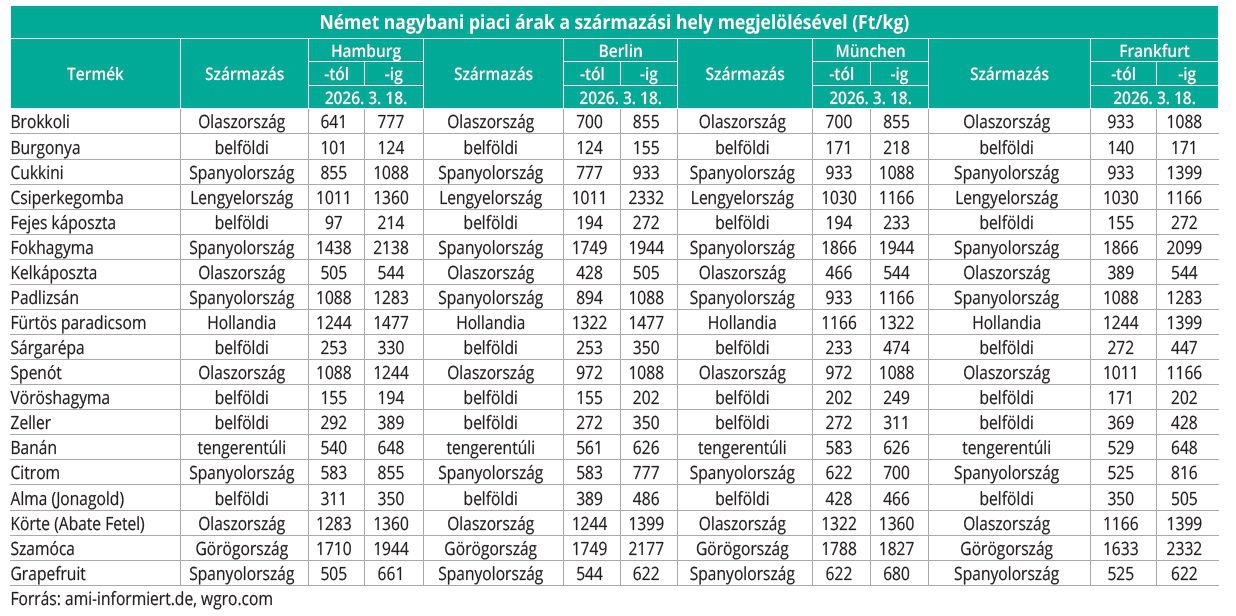 nemet_nagybani_2026_13