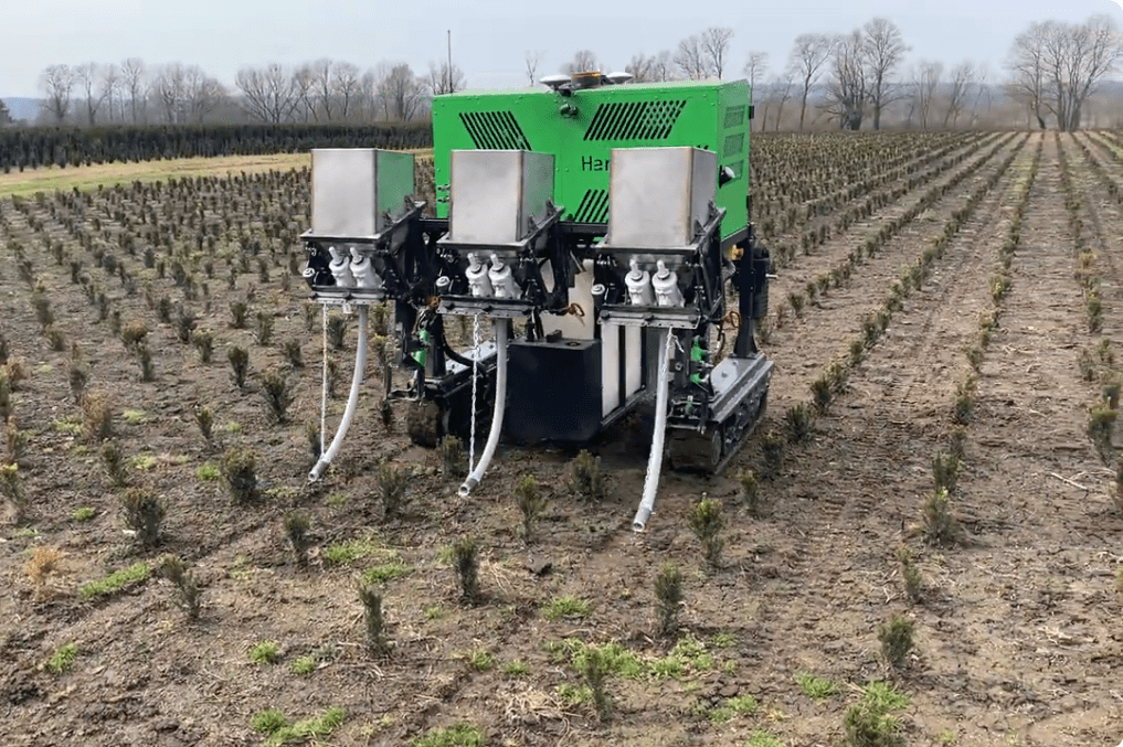 A hidasrobottal sok faiskolai munka végezhető el, például műtrágyaszórás a sorokba