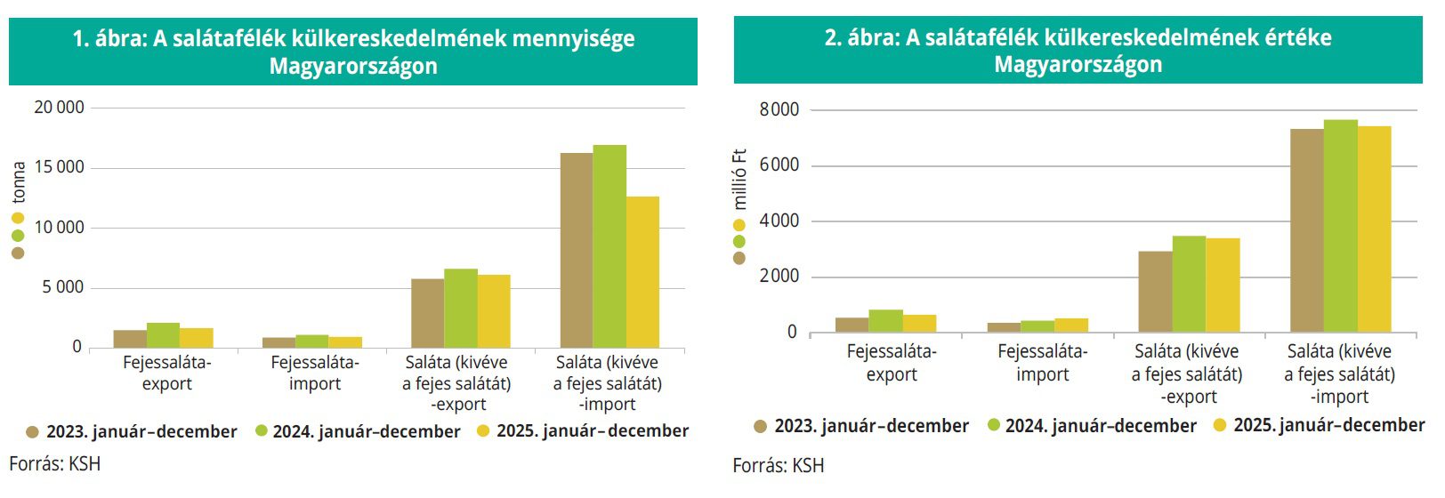 salatafelek_piaca_aki2026_13