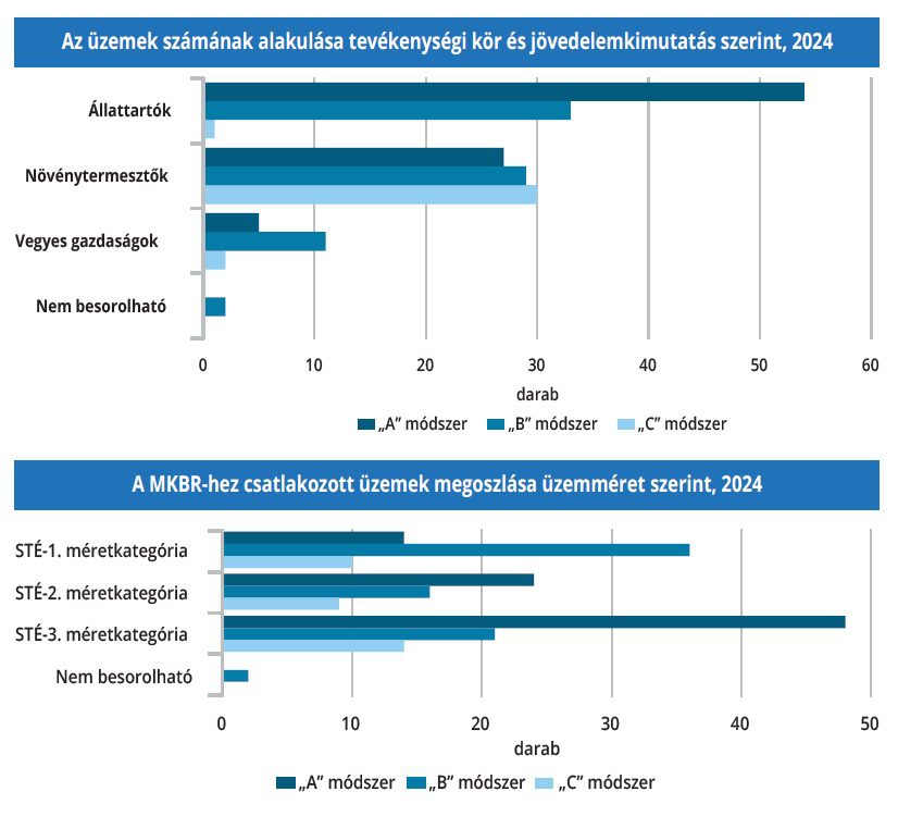 uzemek-szamanak_alakulasa