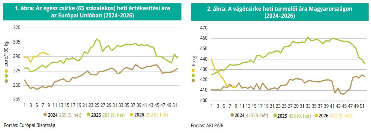 vagocsirke_EU_MO_aki12het