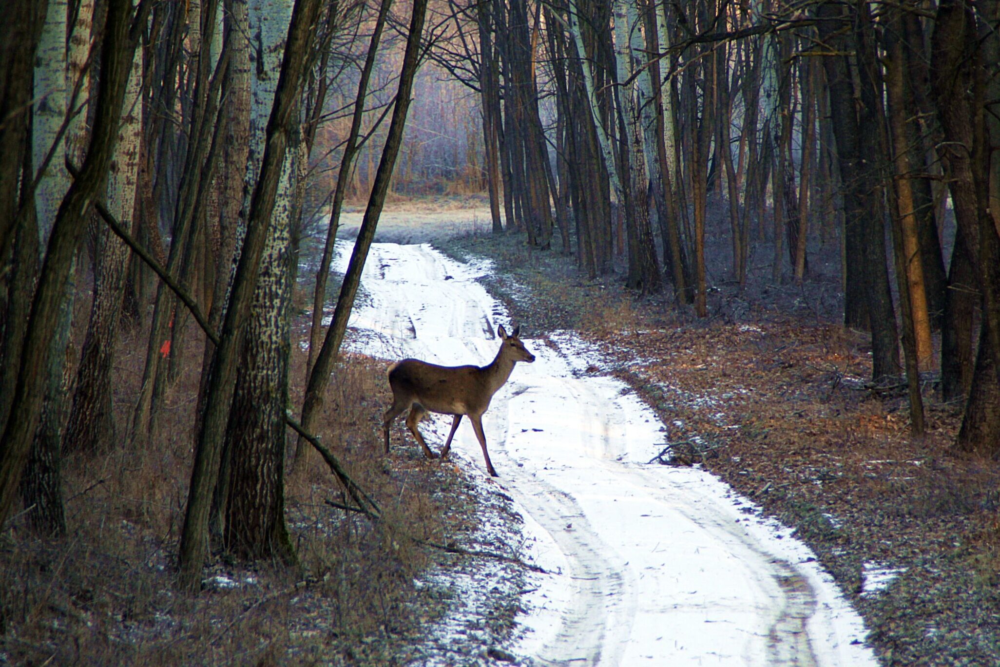 Vadtakarmányozás az év legkritikusabb időszakában