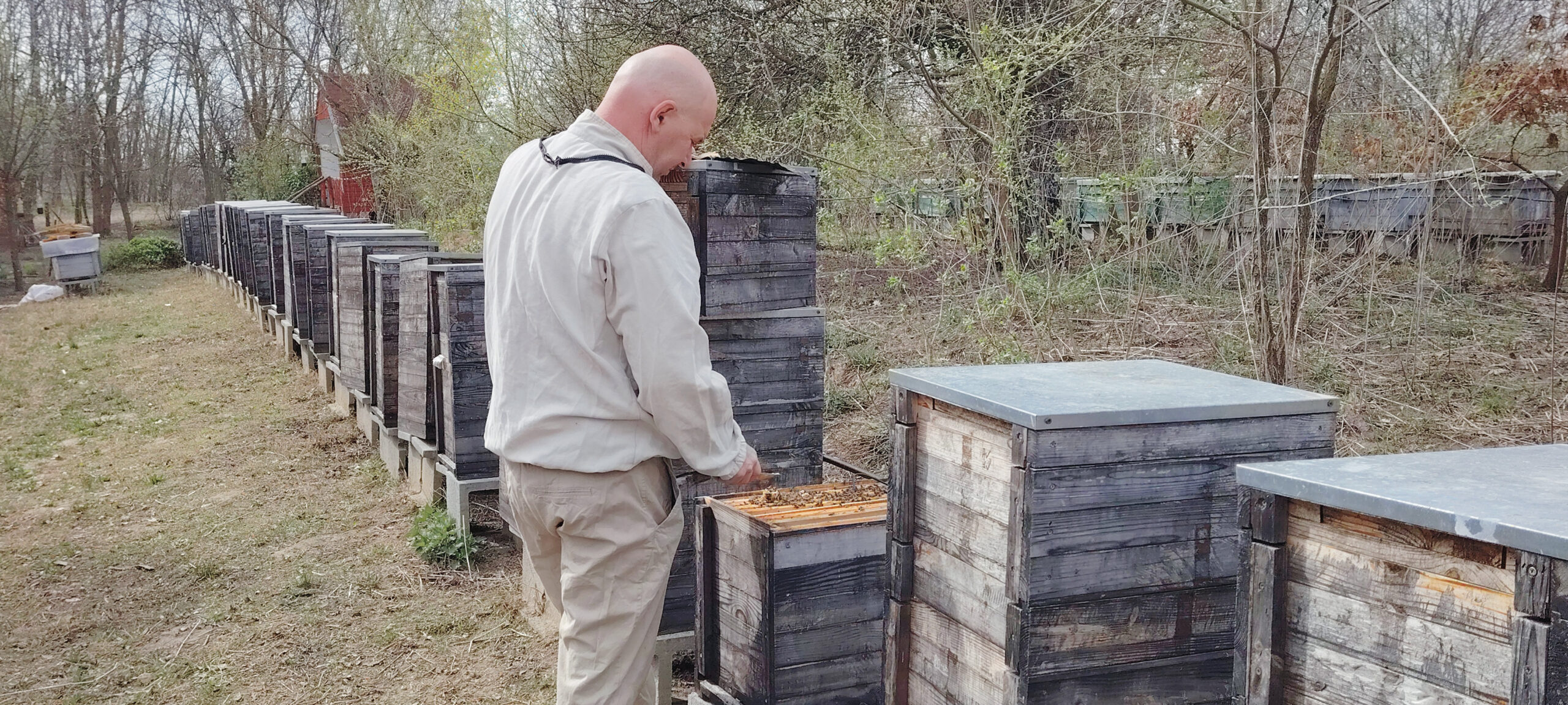 Somogy helyzete különleges, Juhász Zsolt eddig nem kényszerült vándorlásra