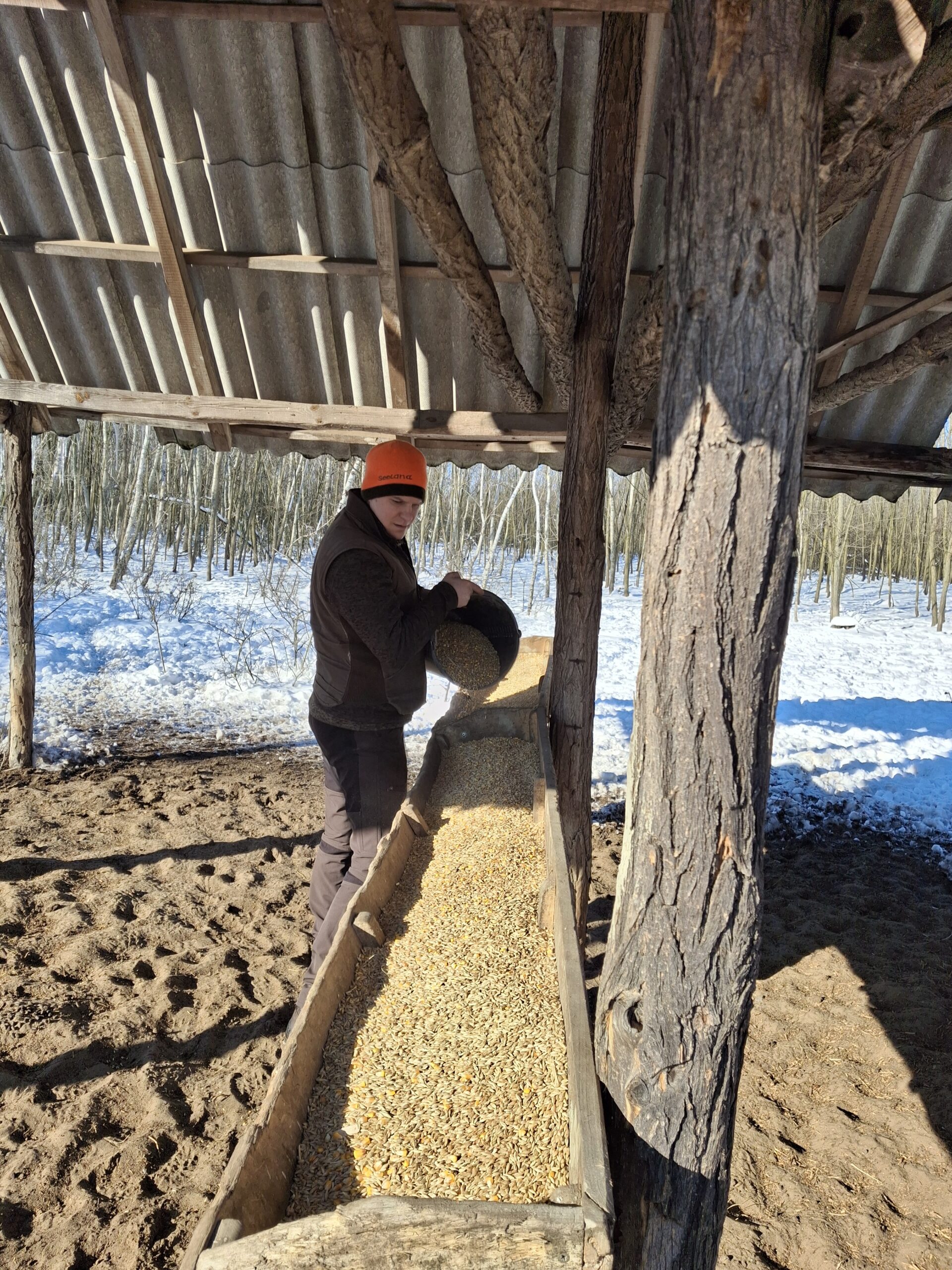 A szálas- és a szemestakarmányegyaránt elengedhetetlen a téli vadtakarmányozás során