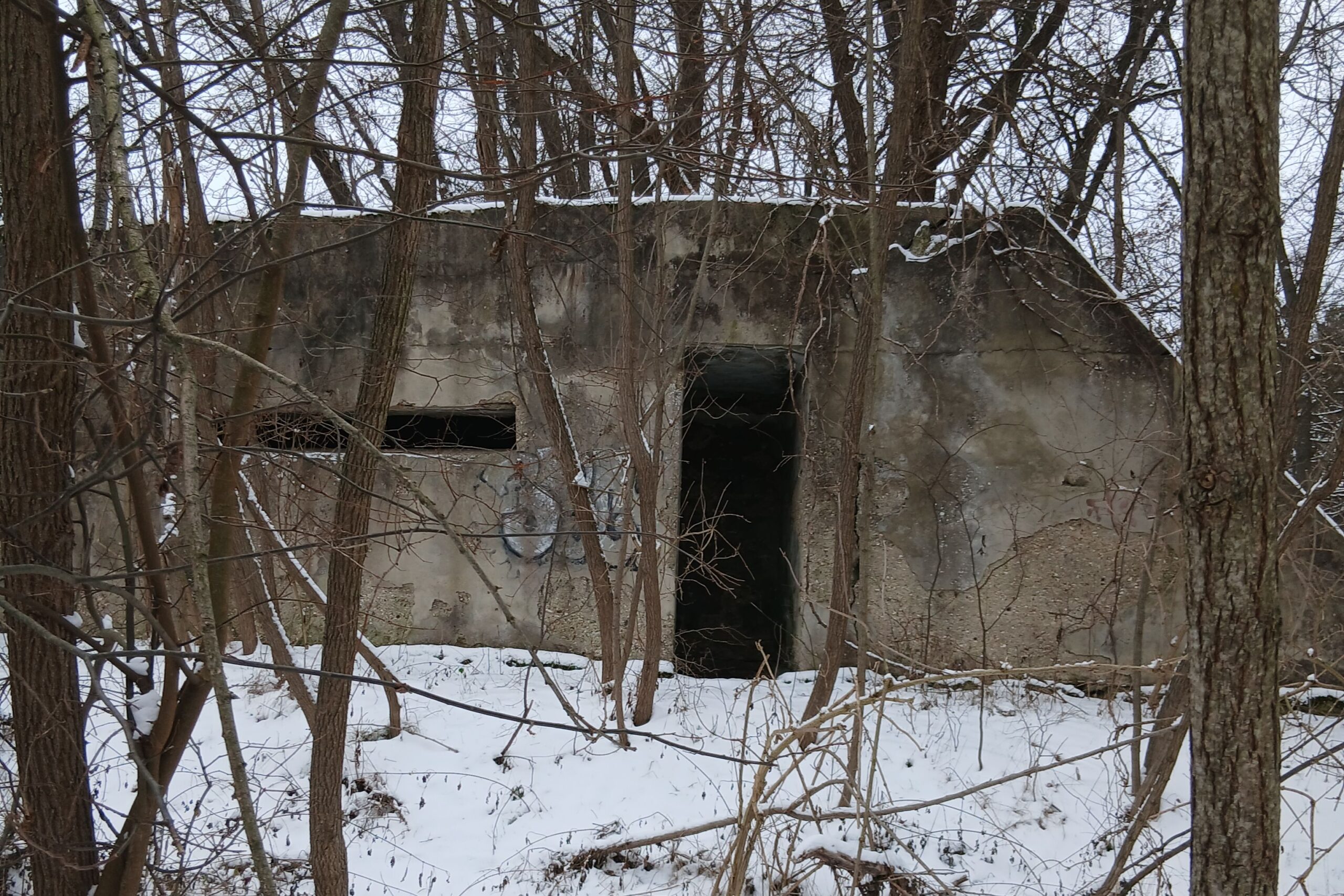 Évszázados titkok a győri erdőkben