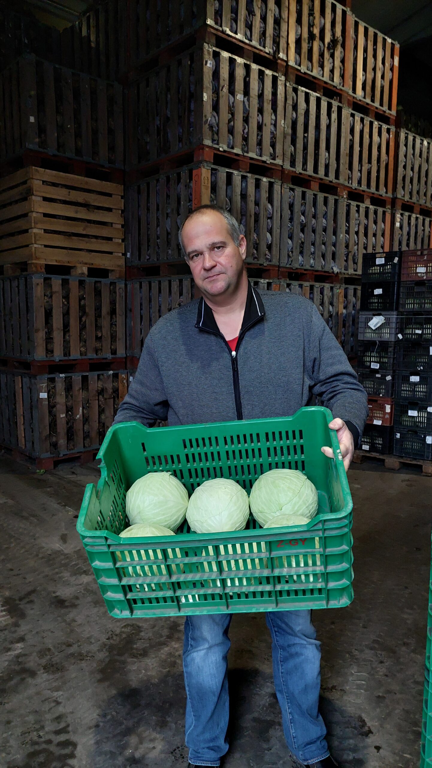 1. Az áruházak a legföljebb 2,5 kilósfejekre vevők